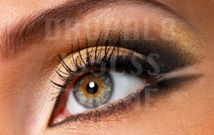 Fashion Colors Library