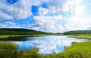 Vivid Colors Library
