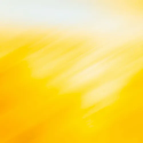 vv